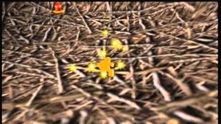 025 BanjoTooie 100 Walkthrough  Leftovers [upl. by Yrennalf470]