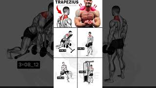 Trapezius workout [upl. by Anilev610]