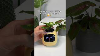 The Worlds First AI Plant Pot😳🪴 plants [upl. by Ailemor]