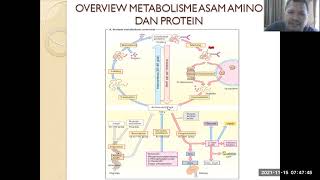 Metabolisme Asam Amino Bagian 1  Degradasi Asam Amino [upl. by Oidiple]