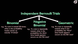 Overview of Some Discrete Probability Distributions BinomialGeometricHypergeometricPoissonNegB [upl. by Ettenna]