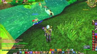 Glimmer Tame  Rare Water Strider MoP Beta [upl. by Channa801]