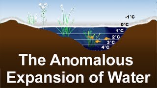 Anomalous Expansion of Water Why does ice float Strange density of water Science Education [upl. by Abram26]