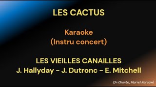 LES CACTUS KARAOKE JACQUES DUTRONC  LES VIEILLES CANAILLES HQ [upl. by Skelton]