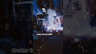 FAIL🤣SONY VINAYAGA SKYSHOTS😍Testing Crackers Diwali Stash 2024 🎆 patakhe crackers nagpal amp sons [upl. by Aihsas508]