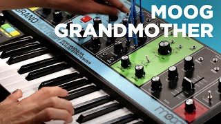 Moog Grandmother SemiModular Keyboard Synth [upl. by Ardnovahs]