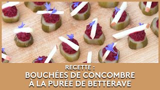 Bouchées de concombre à la purée de betterave  Les Potagers de Julie [upl. by Ardeth]