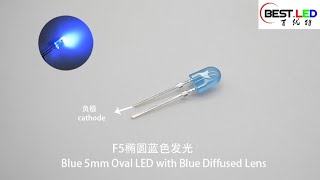 Blue 5mm Oval LED with Blue Diffused Lens [upl. by Naahsar]