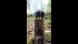 Wood ROCKET stove from DRY stump in 60 seconds  Silky BigBoy 2000  Scotch Eyed Auger [upl. by Wehtam]