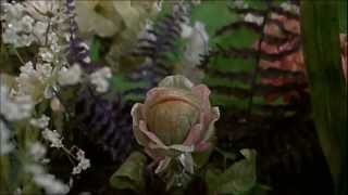 Little Shop Of Horrors 1986 Theatrical Ending [upl. by Eglantine]