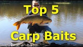 5 Best Carp Baits  How to catch carp with 5 different baits [upl. by Hibbitts385]