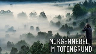 Morgennebel im Totengrund ● Fotografieren in der Heide [upl. by Siroved]