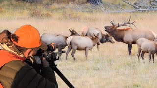 550yard Vapor Trail Our Hunting Partner had NO FEET and Made The PERFECT Shot [upl. by Leirua]