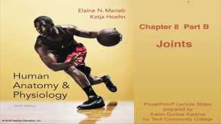 Anatomy amp Physiology Chapter 8 Lecture Part B  Joints [upl. by Anirpas]