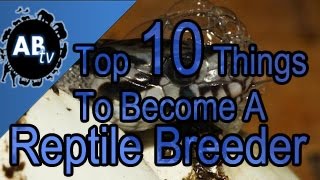 Top Ten Things to Become A Reptile Breeder SnakeBytesTV  AnimalBytesTV [upl. by Ocnarfnaig880]