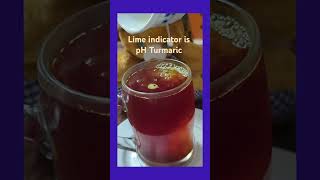 Lime indicator pH Turmaric color change music bollywood tamil song viralreels bollywoodbeats [upl. by Hallie]