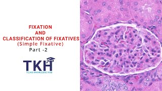 Fixation and Classification of Fixatives Part 2  Simple Fixative  Histopathology  DMLT [upl. by Ancalin]