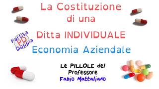 Le scritture in Partita Doppia PD relative alla costituzione di una Ditta Individuale [upl. by Rudd18]