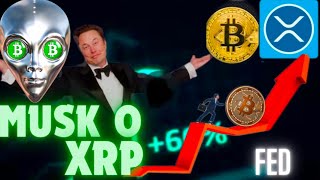 Co powiedział Musk o XRP Decyzja FED a kurs BTC  NOSTR nowa platforma dla krypto  BTC  XRP News [upl. by Eneleuqcaj]