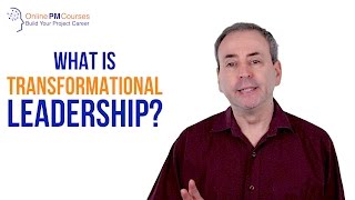 What is Transformational Leadership Beyond DaytoDay Leadership [upl. by Asena876]