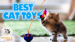 Top 10 Best Cat Toys You Can Buy Online 2021 [upl. by Llirpa]