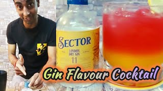 Sector Gin Flavour Cocktail 🍸 Gin Kya Hai  THE BEST GIN Ever  How to make gin 🍸 [upl. by Schulman]