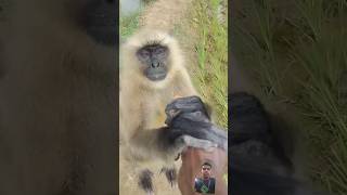 Bajrang 🐒 🙈 short funny trendingytshortsvish short education [upl. by Mir]