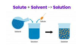 What is the difference between a solution solute and solvent  EduBytes [upl. by Resneps802]