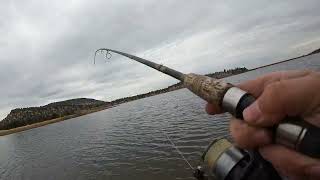 Good trout fishing haystack reservoir [upl. by Goldia]