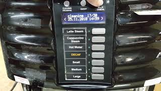 Schaerer Coffee Art Plus SCA1 Espresso Machine  Usage video [upl. by Gabriellia900]