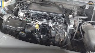 Replace CAMBELT timing belt for 20TDCi Ford Volvo Peugeot Citroen [upl. by Alodee]