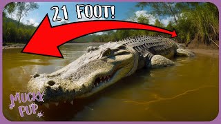 Finding The Worlds Largest Crocodiles 🐊  Full Documentary [upl. by Alial]