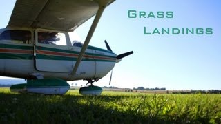 Some Grass Landings [upl. by Ydarg]