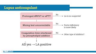 Antiphospholipid syndrome for medical student [upl. by Deegan14]