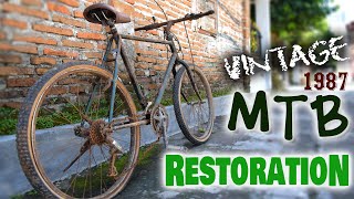 Vintage Mountain Bike Restoration  Hunter Focus 1987 [upl. by Vahe]