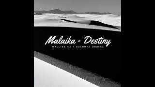 Malaika  Destiny Wallies SA x Dalootz [upl. by Jesselyn]