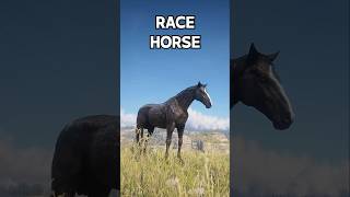 Best RACE Horses You Must OWN  RDR 2 [upl. by Ennybor]