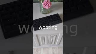 The Worlds Fastest Keyboard  Wooting 60HE [upl. by Ramona]