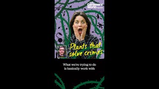 Plants that solve crimes [upl. by Sivrad]