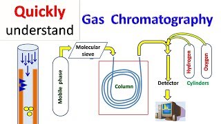 Gas chromatography  GC [upl. by Eldnik415]