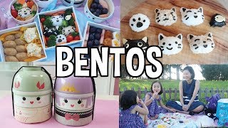 Inside Japanese Bento Box Culture ft BentoampCo [upl. by Aicul863]