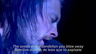 Thom Yorke Ingenue Inglés Español [upl. by Eyar]