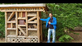 Insektenhotel bauen ► Natur ► Naturmacher 2019 ► Nisthilfe ► Bienenhotel ► Nützlinge ►↓ ↓INFOBOX↓ ↓ [upl. by Lucio395]