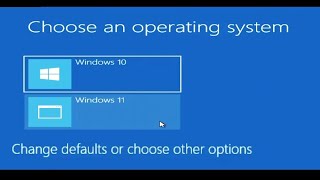 How To Install Dual Windows 10 and Windows 11 On The Same Computer [upl. by Owens]