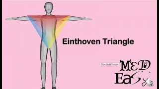 einthoven triangle [upl. by Roley709]