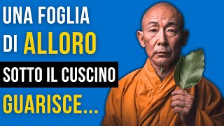 5 Effetti Sorprendenti sul Cervello mettendo dellALLORO SOTTO IL CUSCINO  Storia Buddista e Zen [upl. by Adnoma636]