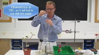 Testing a leaf for starch for IGCSE Biology [upl. by Suirtimed]