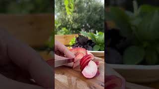 Vegetable Salad Recipe food recipe shortvideo weightloss [upl. by Lugo]