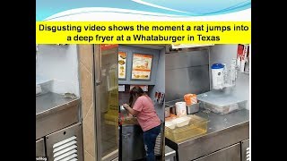 Disgusting video shows the moment a rat jumps into a deep fryer at a Whataburger in Texas [upl. by Roseanna103]