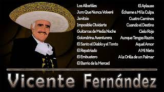 Vicente Fernandez Mejores CancionesVicente Fernandez 22 Grandes Éxitos MixParte4 [upl. by Sulokcin]